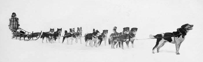 Vuoden 1908 voittajat