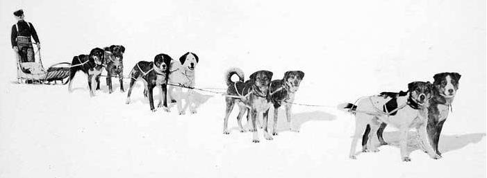 Vuoden 1909 voittajat