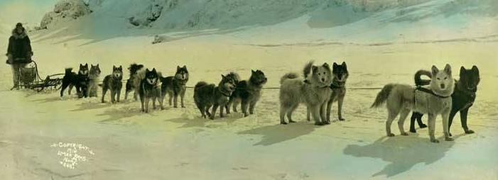 Vuoden 1910 voittajat